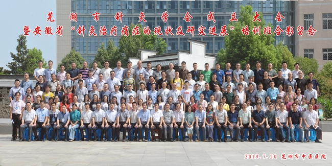 守正創(chuàng)新 弘揚(yáng)國(guó)粹——蕪湖市針灸學(xué)會(huì)正式成立(圖12)