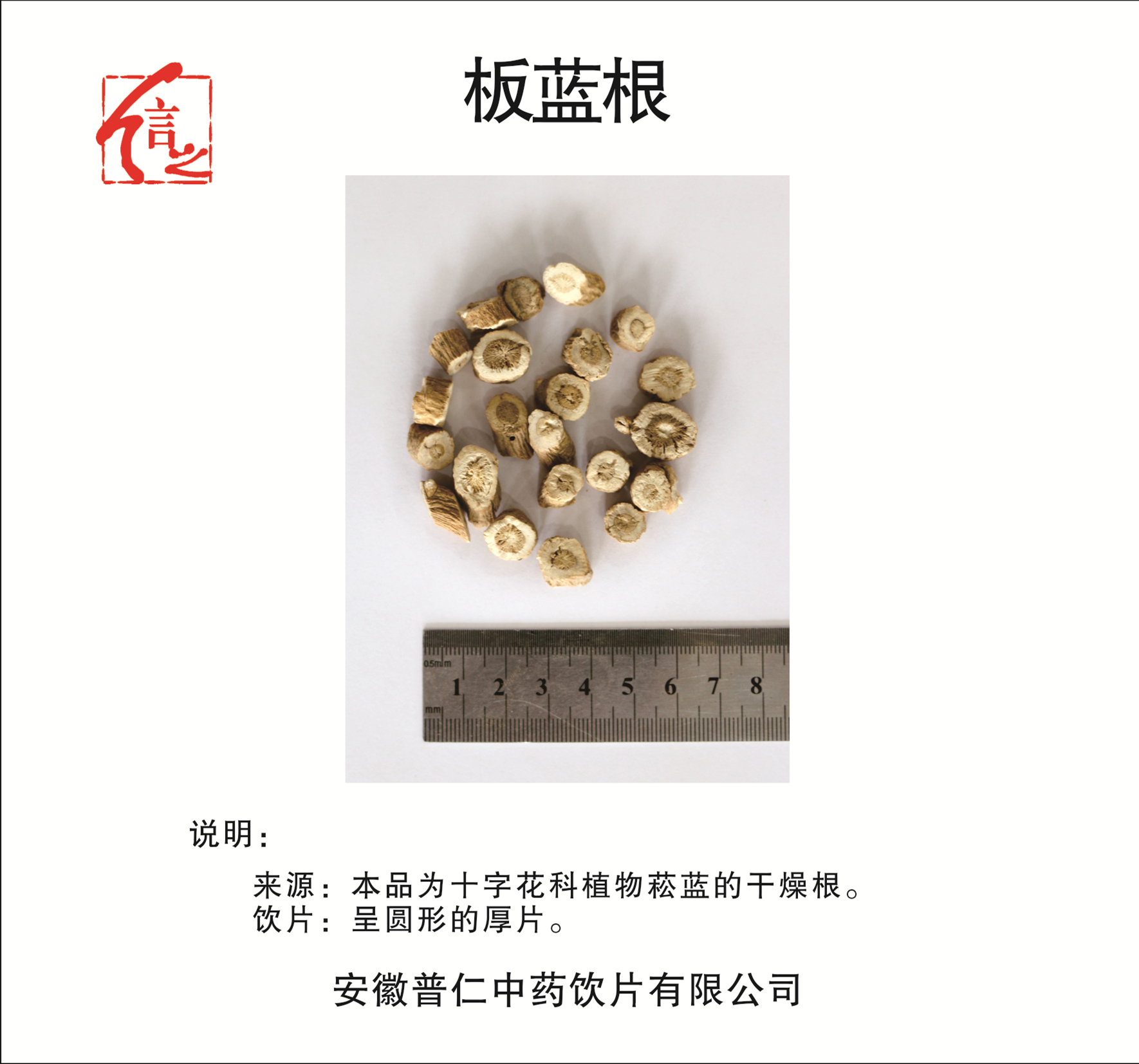 板藍根.jpg