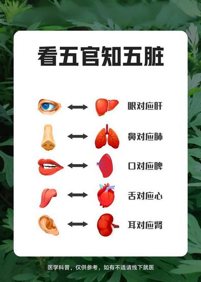 五行對應五臟五官 (Copy).jpg
