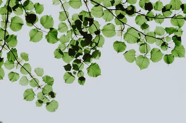 圖片2 (Copy).png