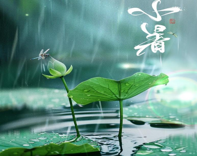 圖片1 (Copy).png