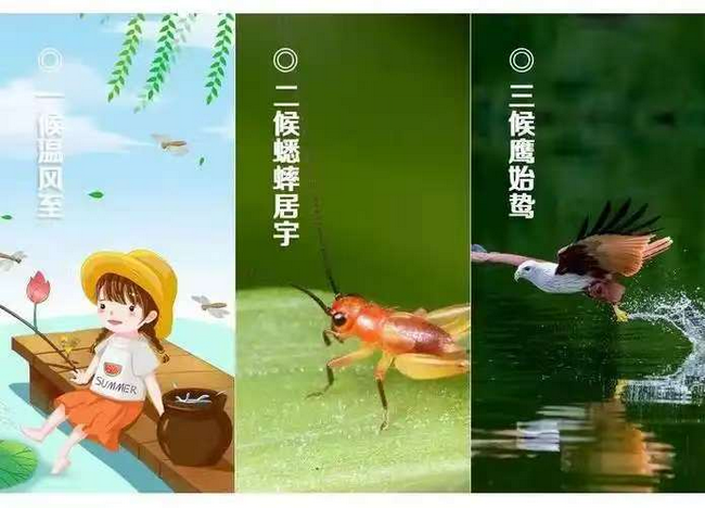 圖片2 (Copy).png
