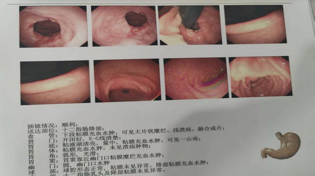 圖片24 (Copy).png