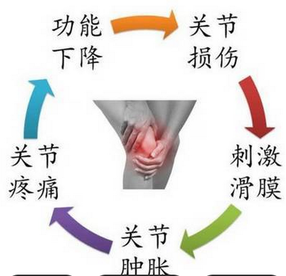 圖片18 (Copy).png