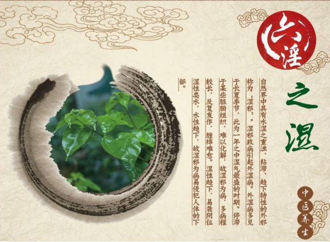 圖片22 (Copy).png