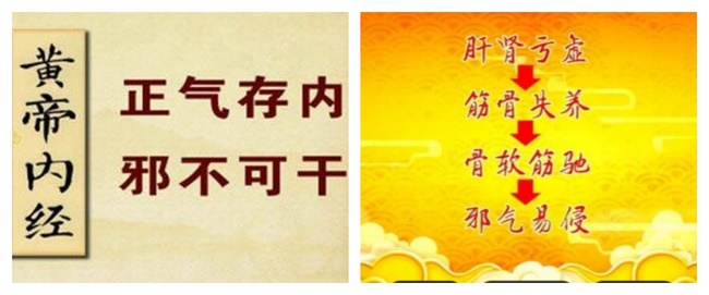 關(guān)節(jié)骨科3 (Copy).jpg