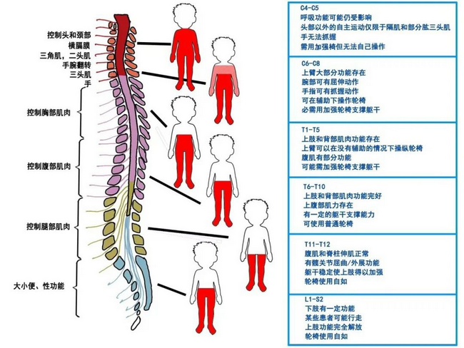 圖片26 (Copy).png