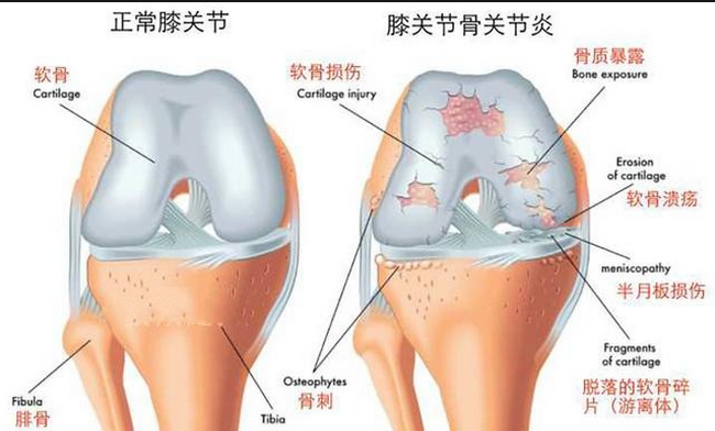 圖片14 (Copy).png