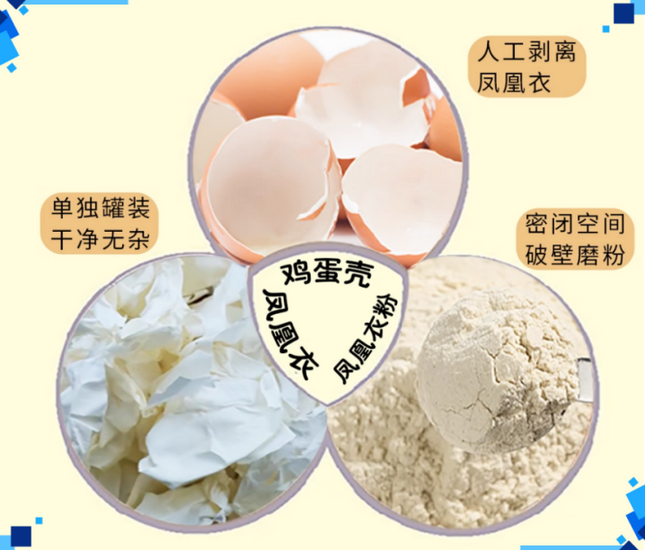 圖片28 (Copy).png