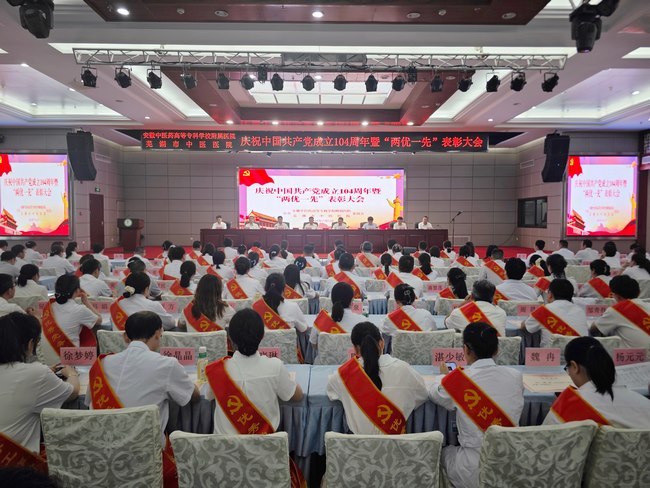 【喜迎黨代會 奮進(jìn)新征程】黨的建設(shè)篇：堅(jiān)持和加強(qiáng)黨的全面領(lǐng)導(dǎo)  踔厲奮發(fā)譜寫醫(yī)院發(fā)展新篇章(圖4)