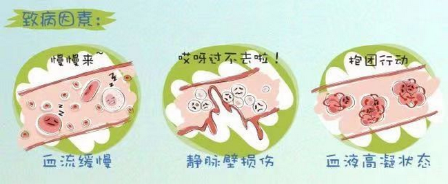 圖片20 (Copy).png